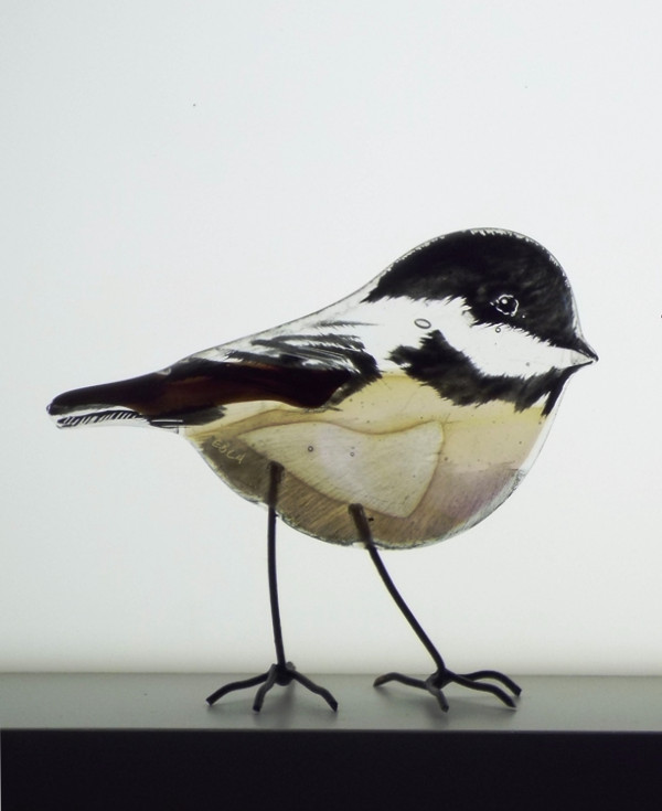 coal tit