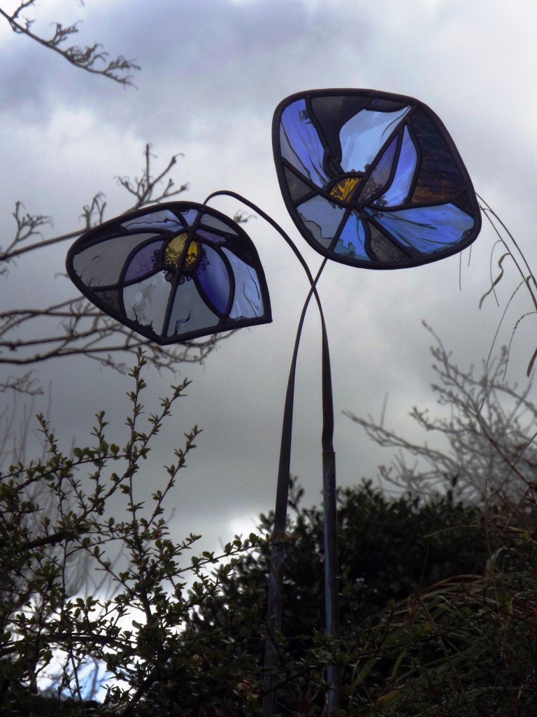 stained glass Mecanopsis poppies