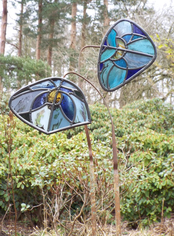 Emma Butler-Cole Aiken Stained Glass Mecanopsis
